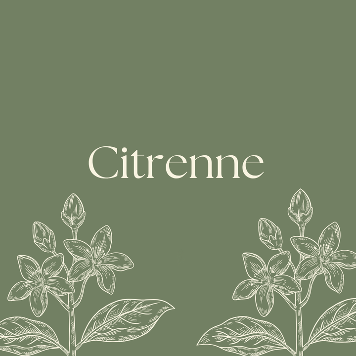Citrenne